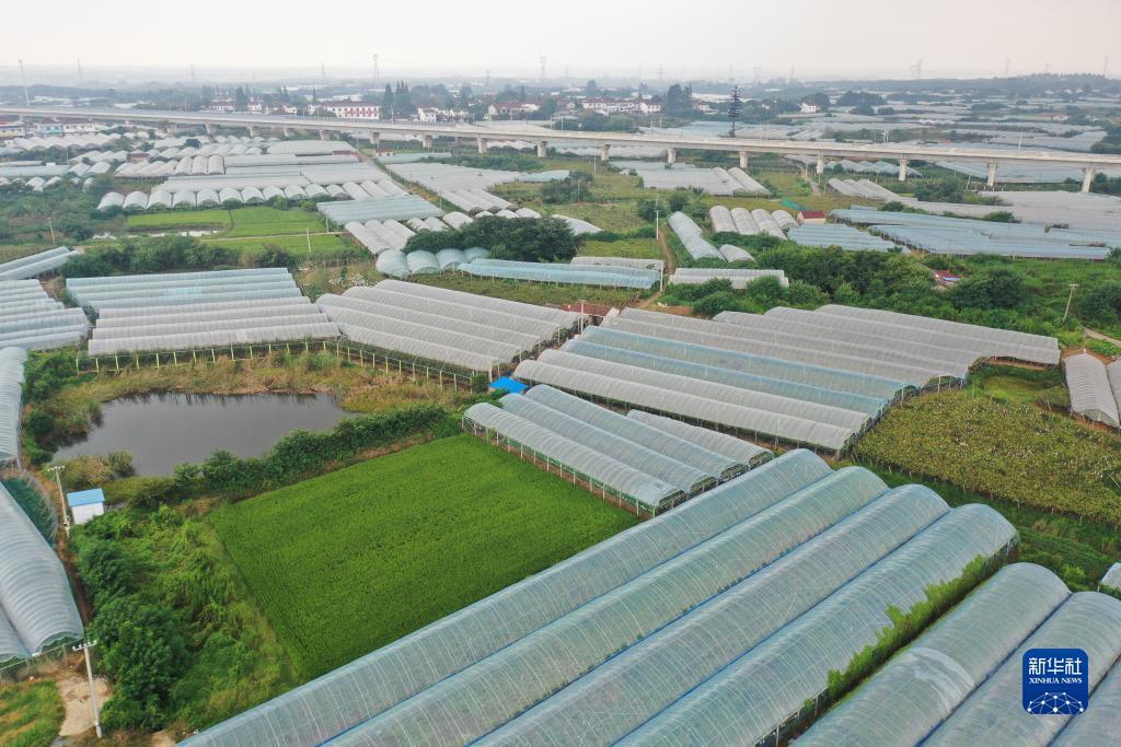 奔驰游戏网址